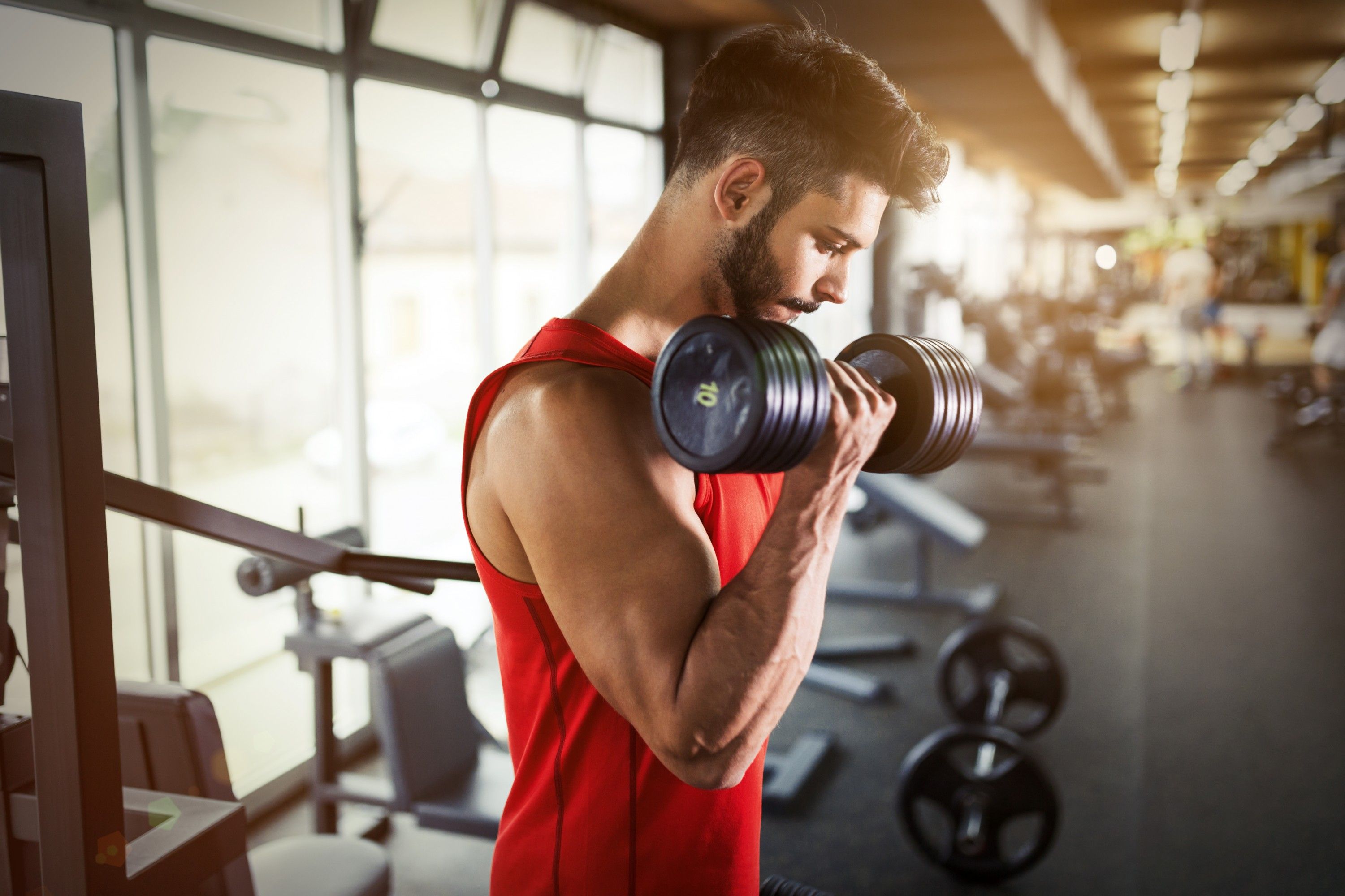 Saiba o que significa no pain no gain e se a máxima é verdadeira